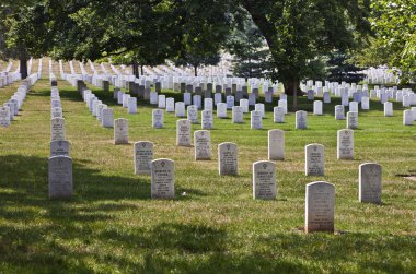 Headstones at the Arlington national Cemetery clipart