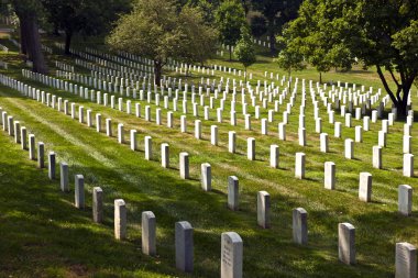 Headstones at the Arlington national Cemetery clipart