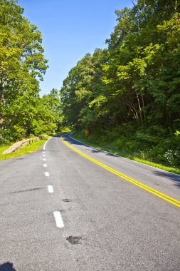 güzel bir manzara ülke road eğrileri shenandoah nationa yoluyla