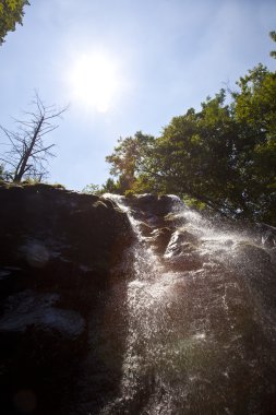 Natural Waterfall in national park clipart