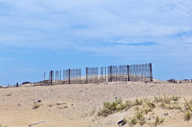 Dunes ahşap çit tarafından korunmaktadır