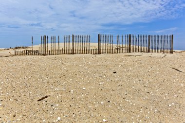 Dunes ahşap çit tarafından korunmaktadır