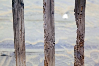 koruma tepeleri güzel doğal plajda çit