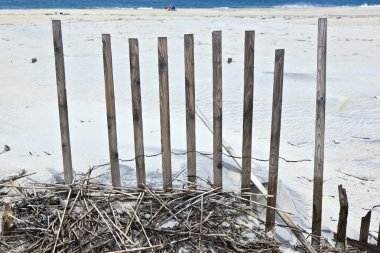 koruma tepeleri güzel doğal plajda çit