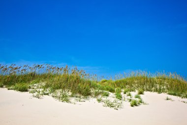 Grass on a beach during stormy season clipart