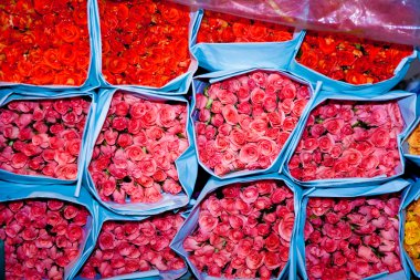 Roses on the flowermarket, early morning in Bangkok clipart