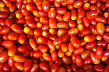 Fresh tomatos at the flower market in Bangkok clipart