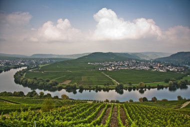 trittenheim yakınlarında nehir mosel, dünya ünlü sinuosity