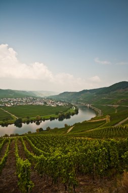 trittenheim yakınlarında nehir mosel, dünya ünlü sinuosity