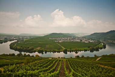 trittenheim yakınlarında nehir mosel, dünya ünlü sinuosity