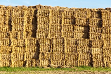 Bale of straw in automn in intensive colors clipart
