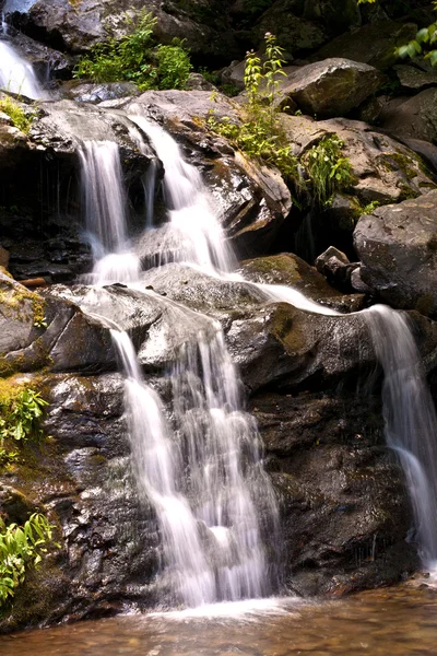 Piękny naturalny wodospad — Zdjęcie stockowe