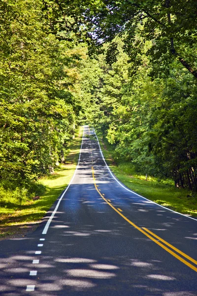 シェナンドア国立を通じて美しい風光明媚な国道はカーブ — ストック写真