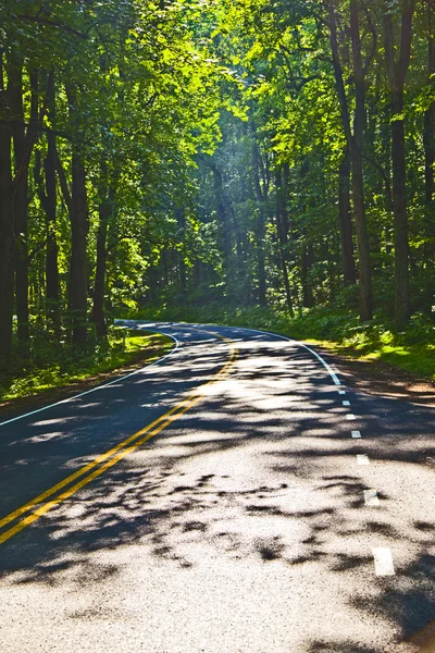 Belas curvas cênicas da estrada rural através do Parque Nacional Shenandoah . — Fotografia de Stock