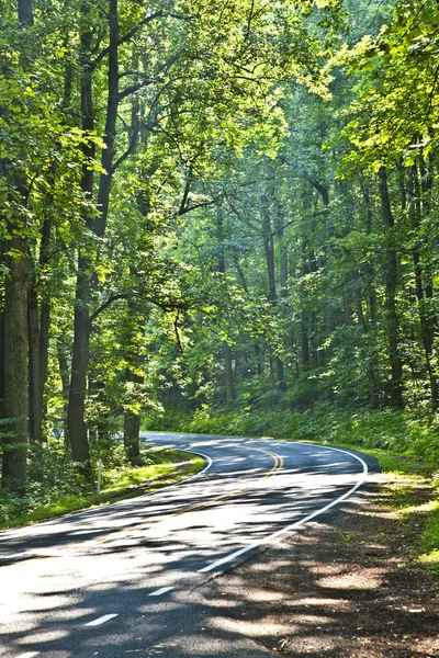 Belle curve panoramiche della strada di campagna attraverso Shenandoah Nationa — Foto Stock