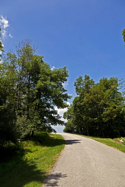 人気のある青リッジ山の美しい森 — ストック写真
