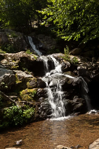 Beautiful natural waterfall — Stock Photo, Image