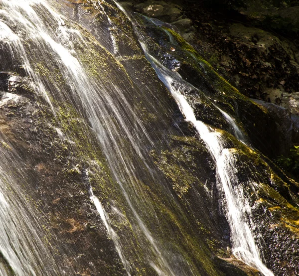 国立公園内の自然の滝 — ストック写真