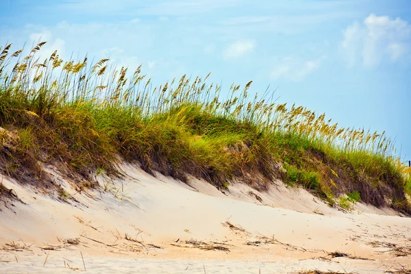 Gras op een strand in stormachtige seizoen — Stockfoto
