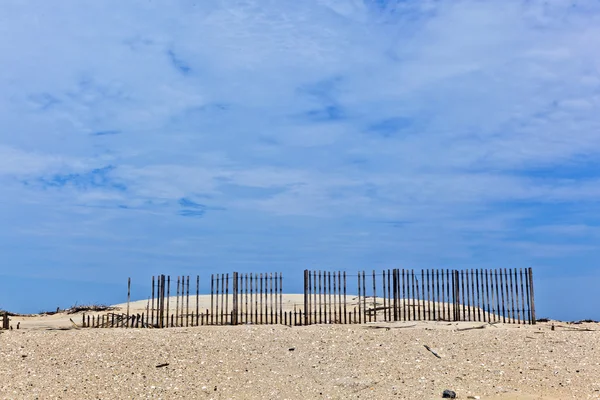 Dunes are protected by wooden fences — Stock Photo, Image