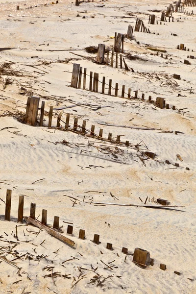 Dünen sind durch Holzzäune geschützt — Stockfoto