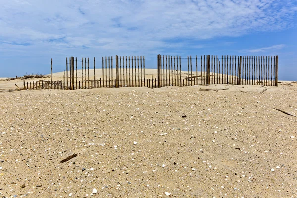 Sanddyner är skyddade av staket — Stockfoto