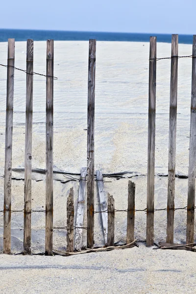 Забор для защиты дюн на красивом природном пляже — стоковое фото