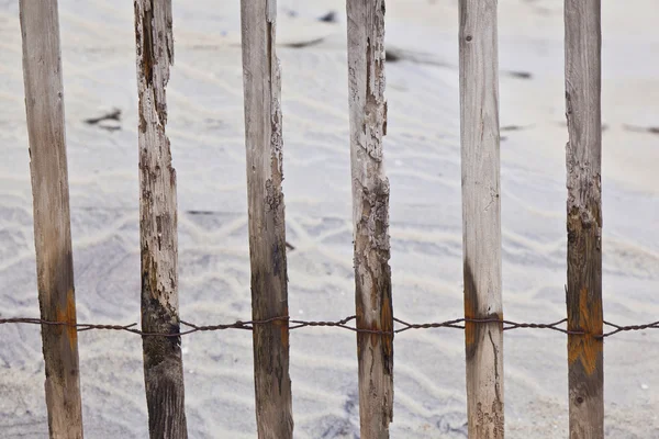 Забор для защиты дюн на красивом природном пляже — стоковое фото