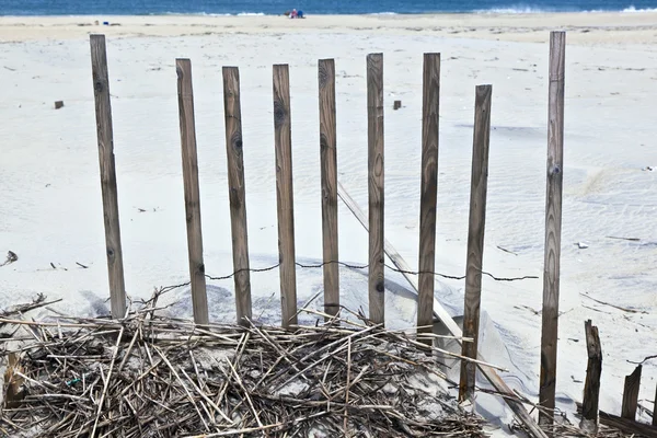 Clôture pour la protection des dunes sur la belle plage naturelle — Photo