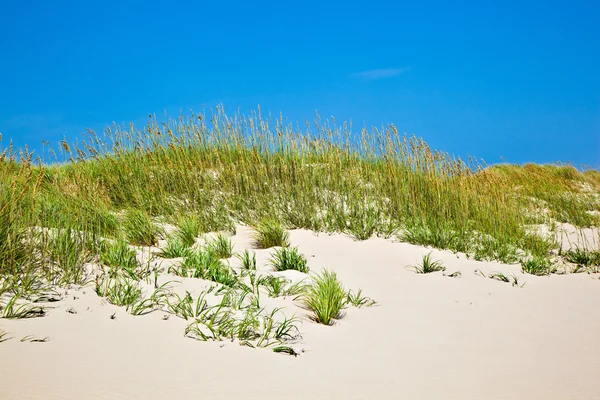 Trawa na plaży w sezonie burzliwy — Zdjęcie stockowe