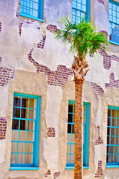 Fachada da antiga casa histórica com palmeira — Fotografia de Stock