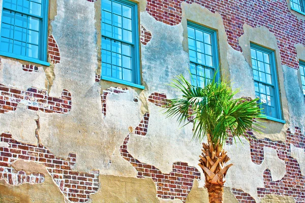Facade of old historic house with palm tree — Stock Photo, Image