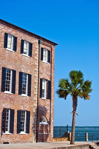 Facade of old historic house with palm tree — Stock Photo, Image