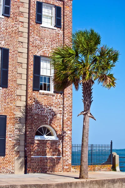 Fachada da antiga casa histórica com palmeira — Fotografia de Stock