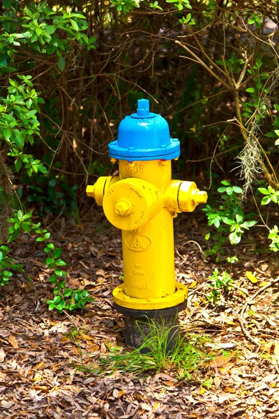 Hydrant v parku — Stock fotografie