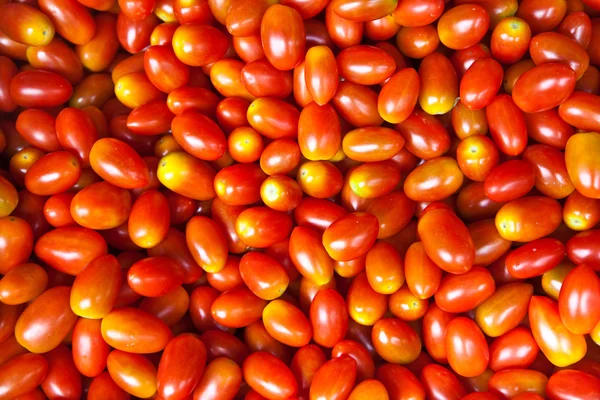 stock image Fresh tomatos at the flower market in Bangkok