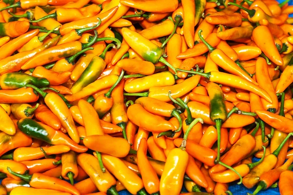 Färsk chili paprika i olika färger på ört marknaden i ban — Stockfoto