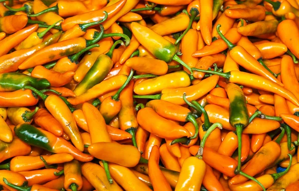 在不同的颜色在禁令中药草市场新鲜辣椒 — 图库照片