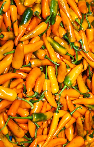 Verse chili peper in verschillende kleuren op de markt kruid in verbod — Stockfoto