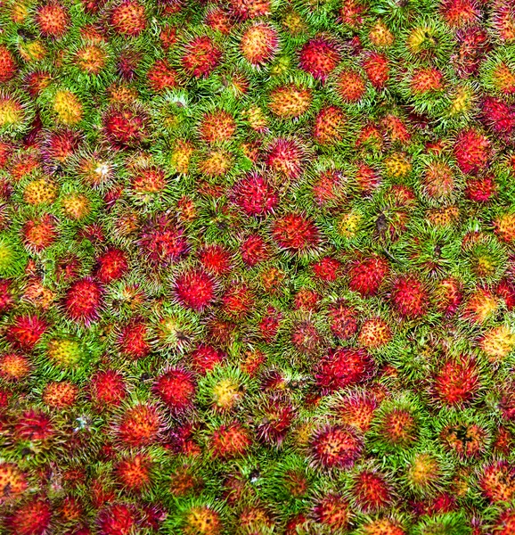 stock image Sweet fruits Rambutan similar to Lychee