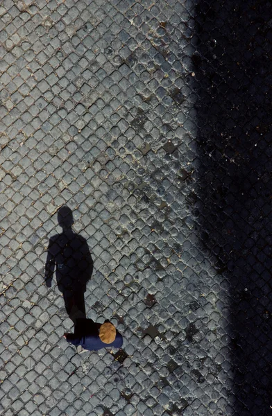 İhtiyar Arnavut kaldırımı taşı üzerinde kuş görünümü — Stok fotoğraf