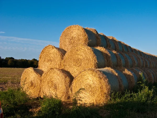 Bale of straw in autumn in intensive colors — Stock Photo, Image