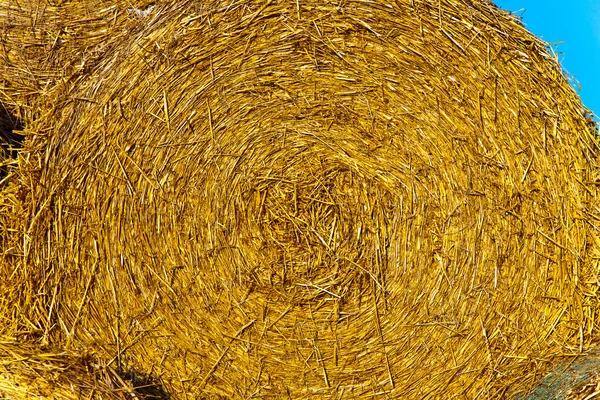 Bale av halm på hösten i intensiva färger — Stockfoto