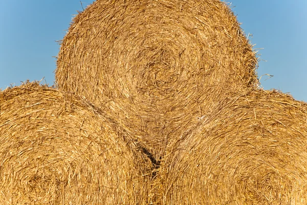 Bale of straw in autumn in intensive colors — Stock Photo, Image