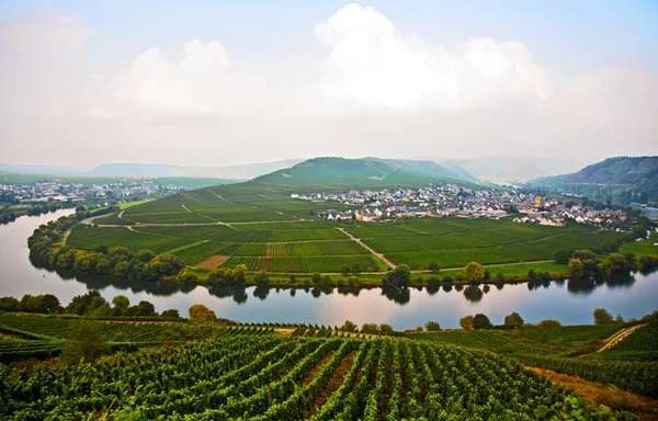 World famous sinuosity at the river Mosel near Trittenheim — Stock Photo, Image