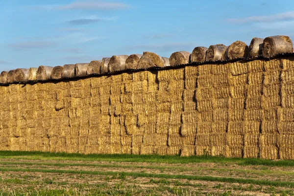 Bale of straw in automn in intensive colors — Stock Photo, Image