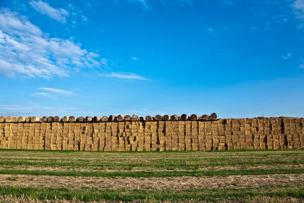 Bale of straw in automn in intensive colors — Stock Photo, Image