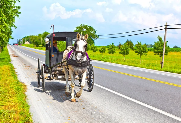 Um cavalo puxando um carrinho através de uma bela paisagem de Saskatchewan — Fotografia de Stock