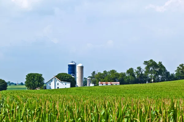 Casa de fazenda com campo e silo — Fotografia de Stock