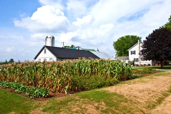 Farm house with field and silo — Stock Photo, Image